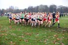 Under-17s and under-20s womens start,  2012 McCain Liverpool Cross Challenge.